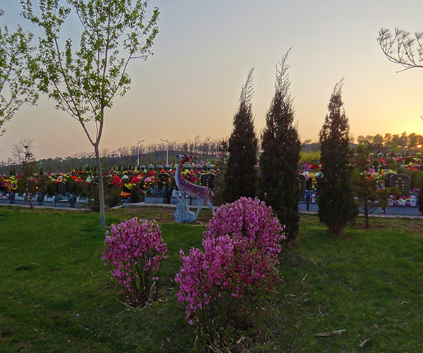 沈陽龍生墓園