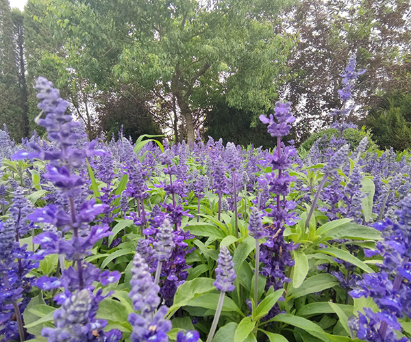 沈陽龍生墓園