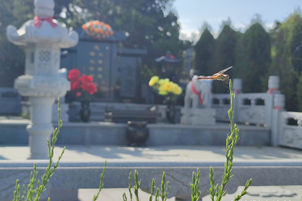沈陽龍生墓園