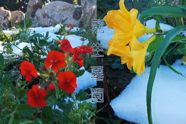 沈陽龍生墓園