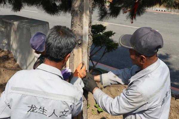 沈陽龍生墓園