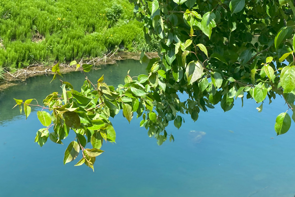 沈陽龍生墓園