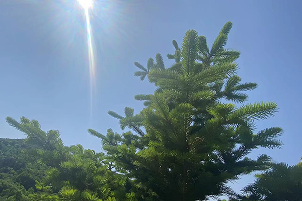 沈陽龍生墓園