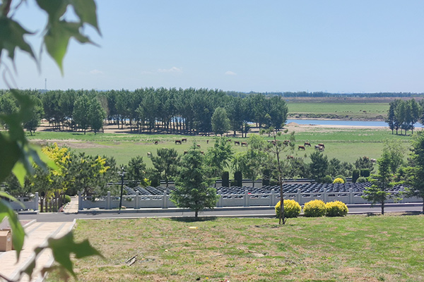 沈陽龍生墓園