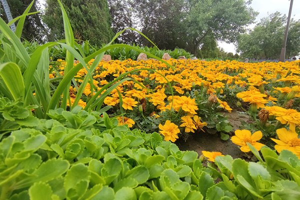 沈陽龍生墓園