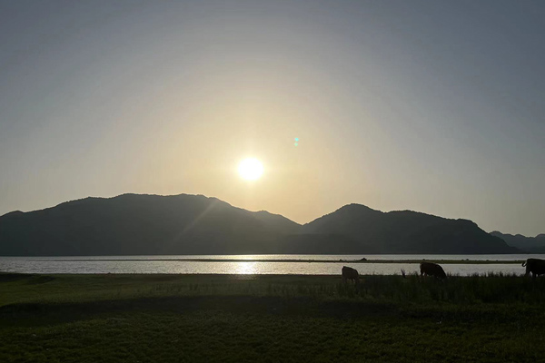 沈陽龍生墓園