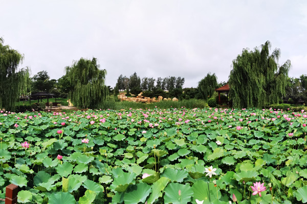 沈陽龍生墓園
