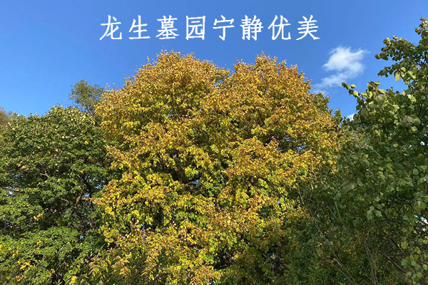 沈陽龍生墓園