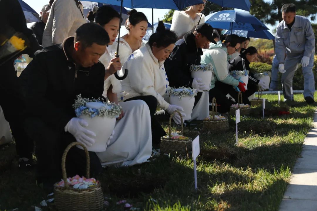 沈陽墓園公墓行業用綠色喚醒永恒·讓生命歸于自然|龍生第三屆節地生態草坪葬活動