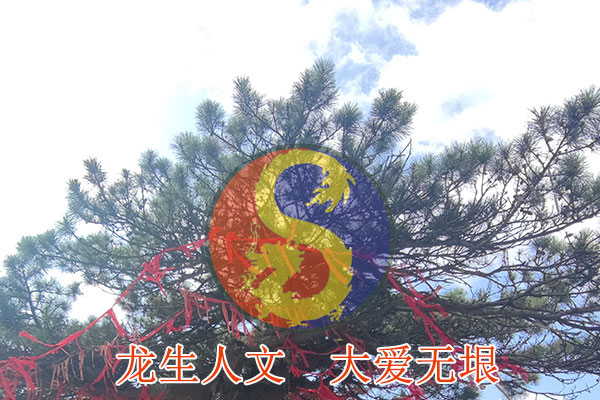 沈陽龍生墓園