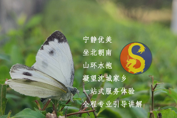 沈陽龍生墓園
