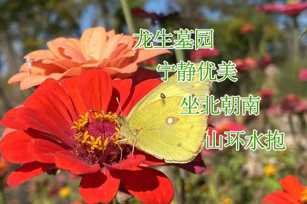 沈陽龍生墓園