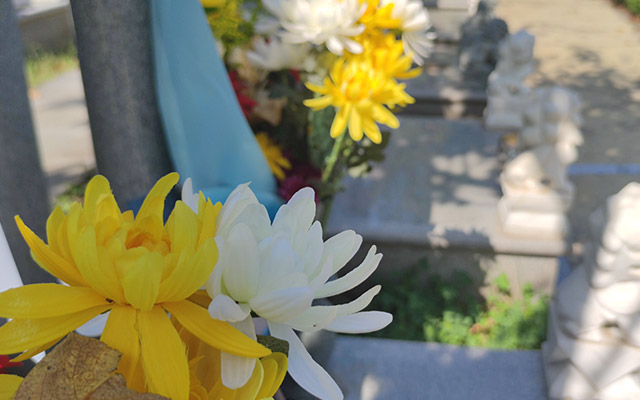 沈陽龍生墓園