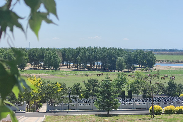 沈陽龍生墓園