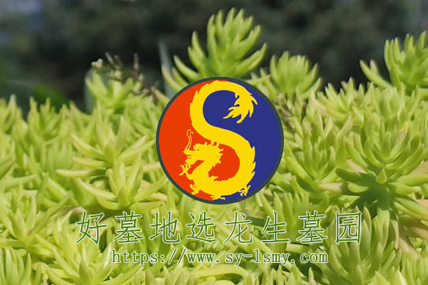 沈陽龍生墓園