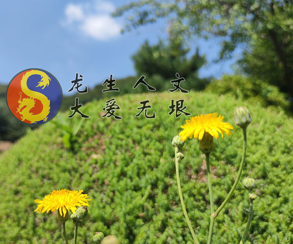 沈陽龍生墓園