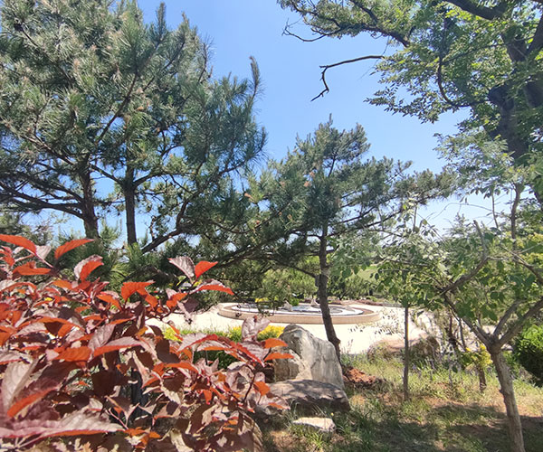 沈陽龍生墓園
