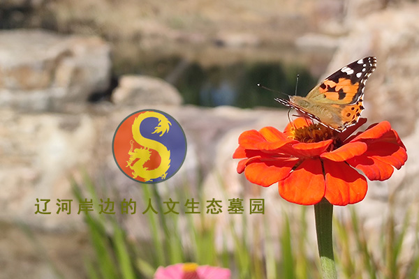 沈陽龍生墓園