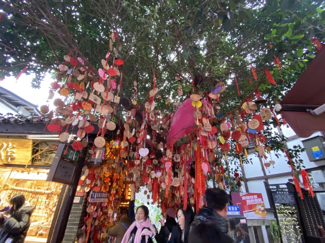 2024龍生山城游|同享歡樂時光，沈陽陵園共赴美好未來！