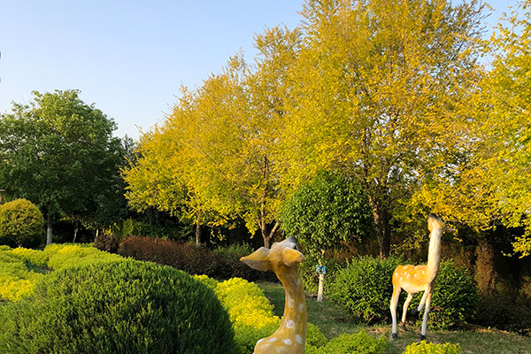 沈陽龍生墓園