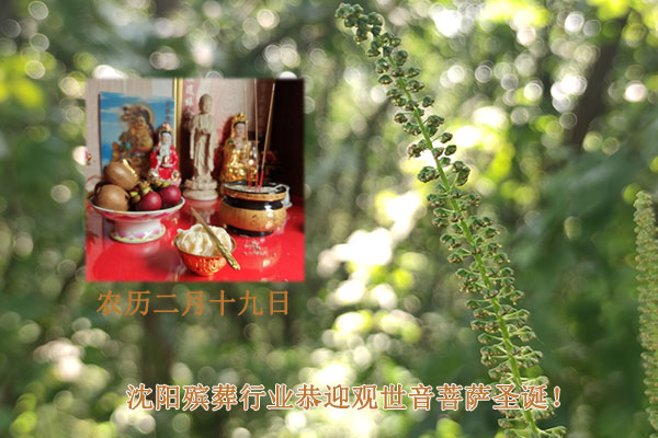 龍年農歷二月十九日，沈陽墓地陵園公墓行業恭迎觀世音菩薩圣誕！