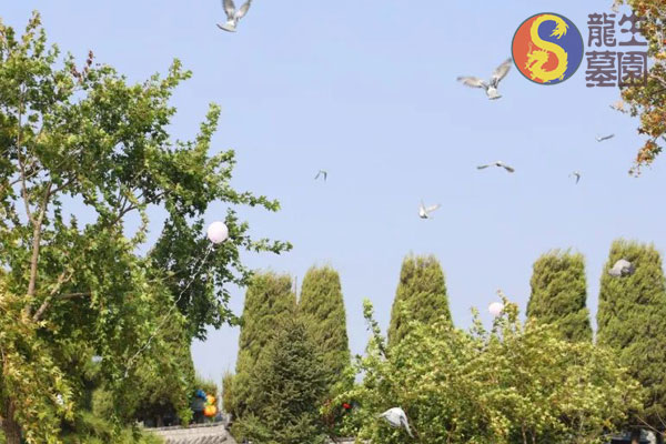 沈陽龍生墓園