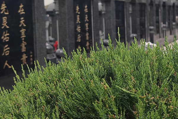 沈陽龍生墓園