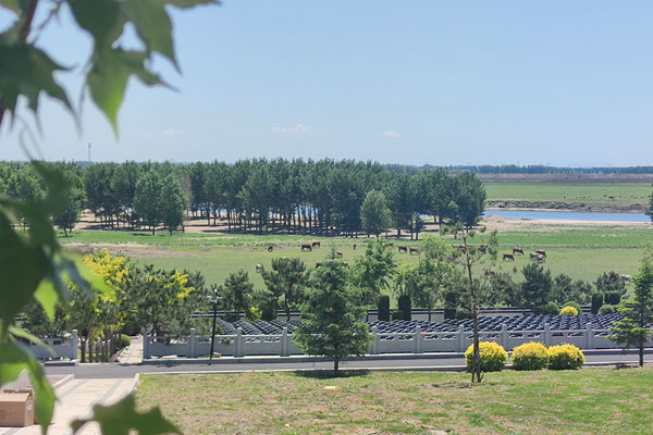 沈陽龍生墓園