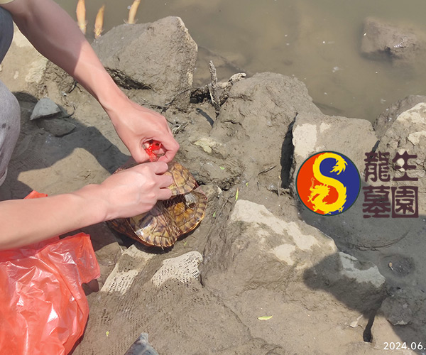 沈陽龍生墓園