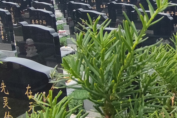 沈陽龍生墓園