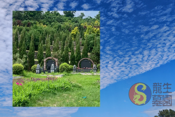 沈陽墓地陵園迎立秋，龍生墓園帶您悠然靜賞這豐年稔歲的序章！