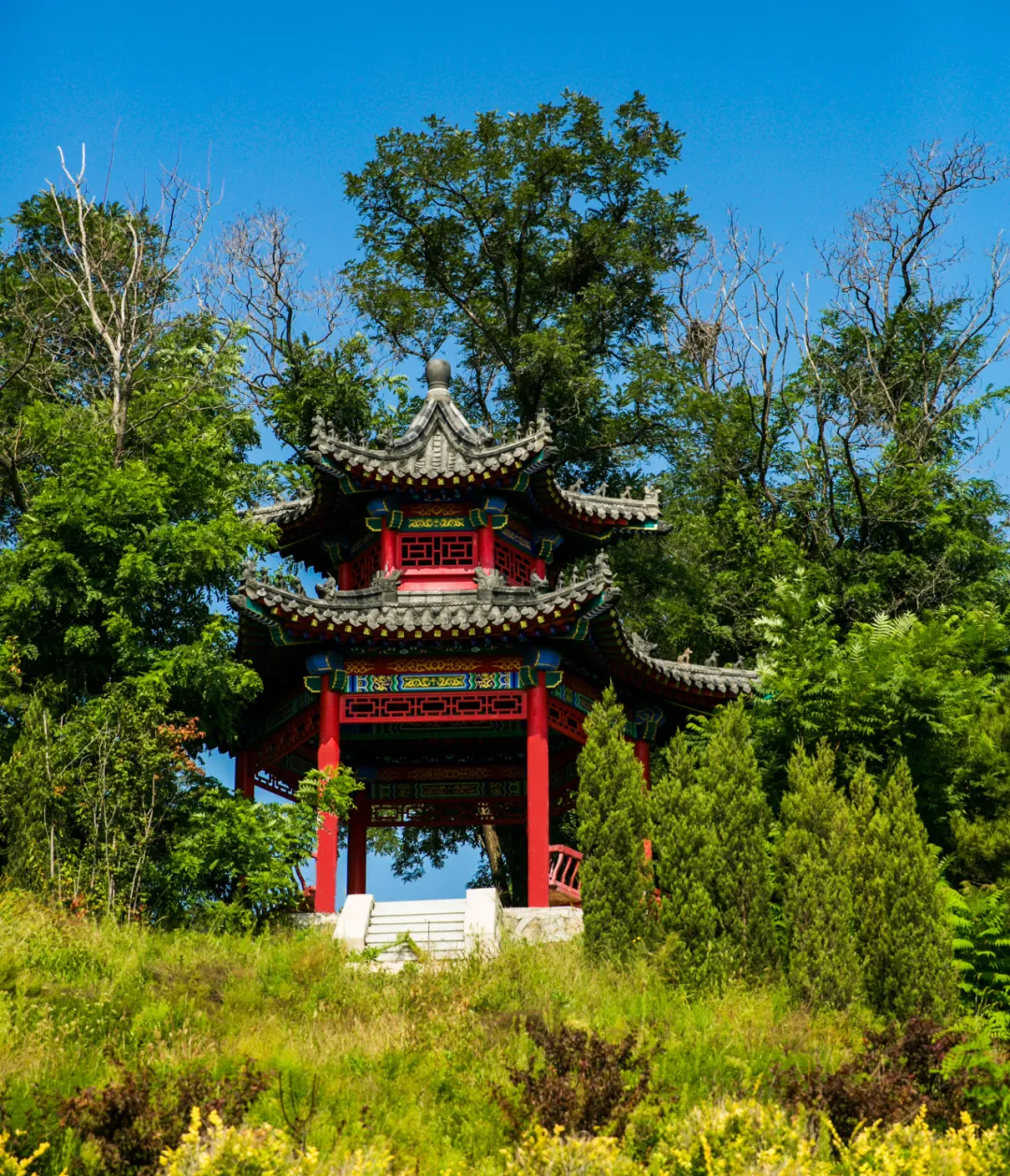 龍生墓園第七屆中元文化節——“中元祭|追憶時光繾綣，創藝燈語流年”沈陽墓園活動預告