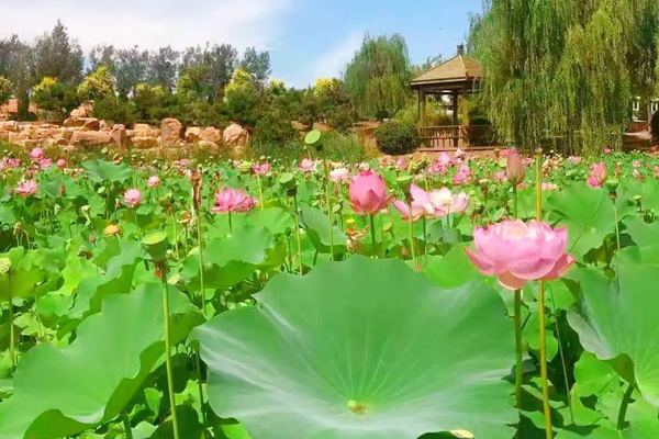 沈陽龍生墓園