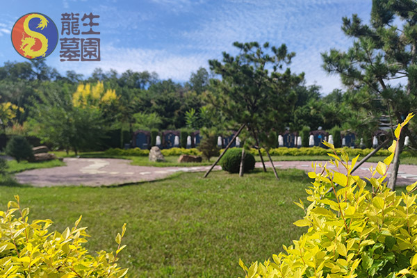 沈陽墓園提供選墓指導，龍生墓園講師全程一對一服務！