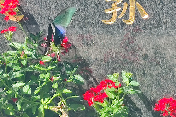 沈陽陵園墓地把龍生墓園服務質量當做殯葬的生命線