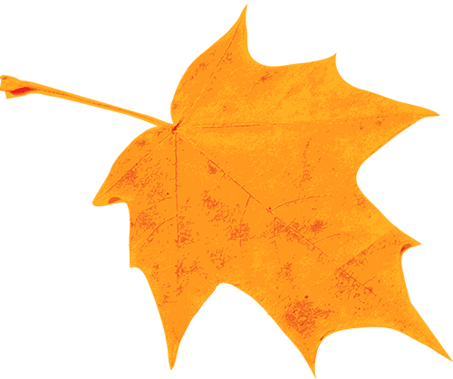 情暖寒衣|沈陽龍生墓園代祭為您傳遞冬日的第一縷溫柔