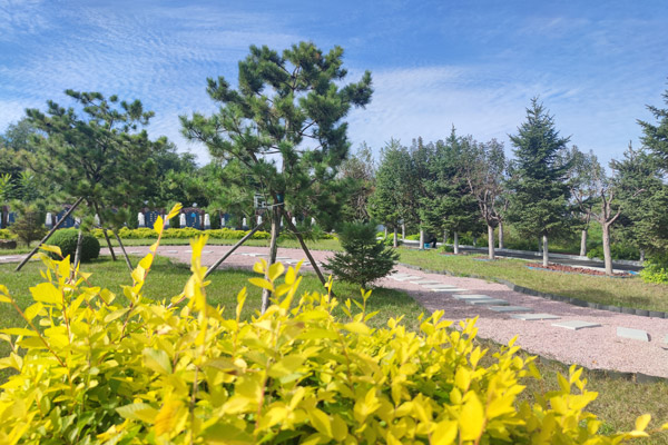 沈陽公墓是如何實現墓園園林化、多樣化、藝術化的？龍生墓地在園區設計和建筑風格上有哪些獨特之處？