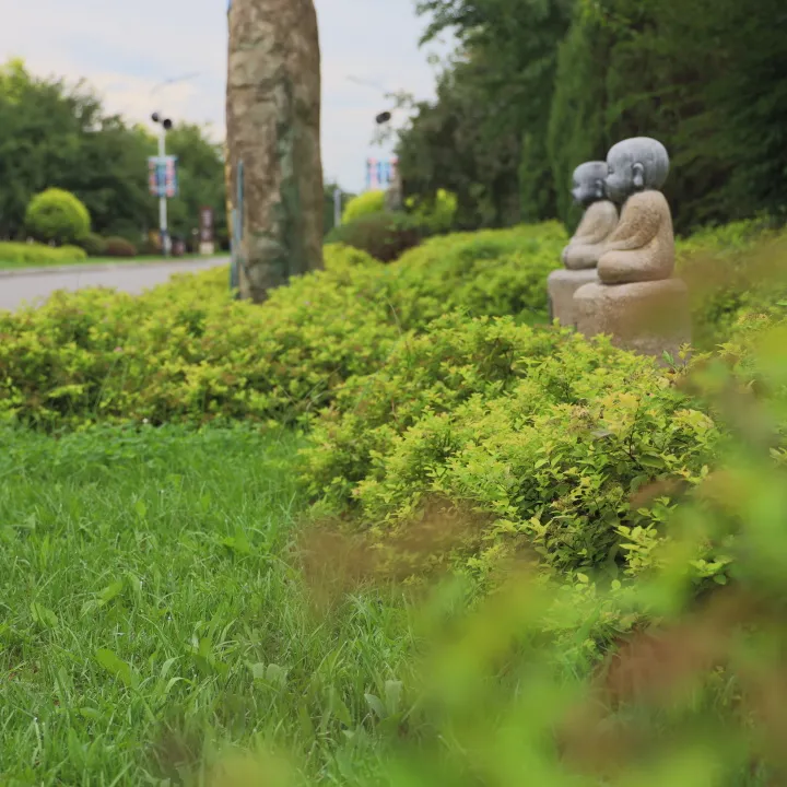 元旦特輯|回憶溫暖，沈陽龍生墓園讓愛照進未來