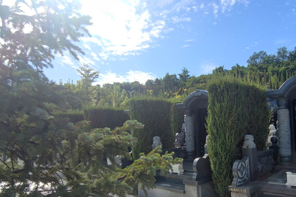 在進行沈陽陵園遷墳時，有哪些重要的講究和注意事項需要遵循？