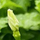 同心·同在?同戰|沈陽龍生墓園2024年總結表彰暨2025年迎新年會盛典