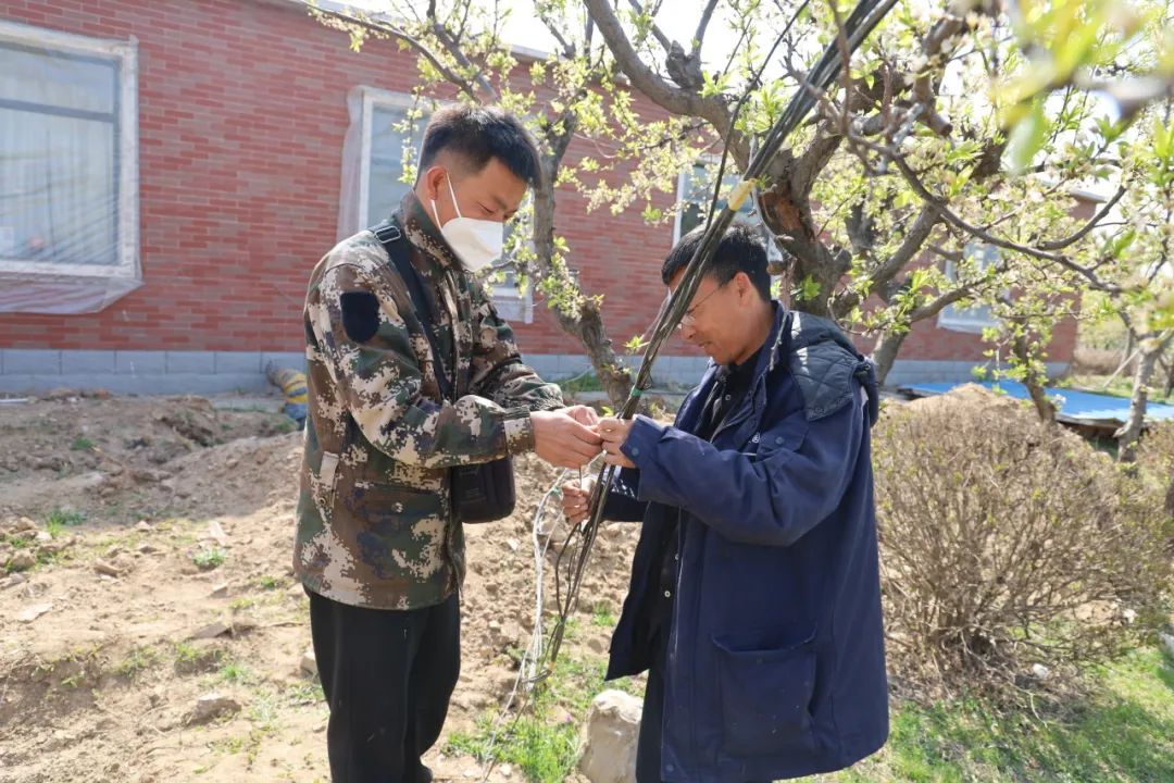 沈陽龍生墓園