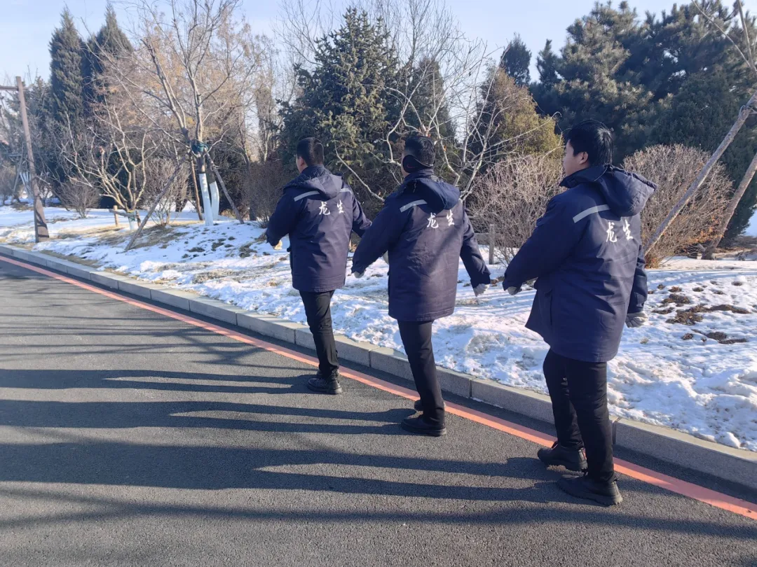 燈火映團圓，溫情護新春 | 龍生墓園春節期間服務不停歇