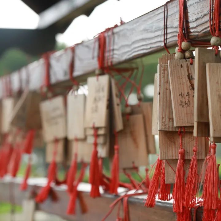元宵佳節 | 沈陽龍生人文紀念園送福燈，月圓情滿點亮思親路