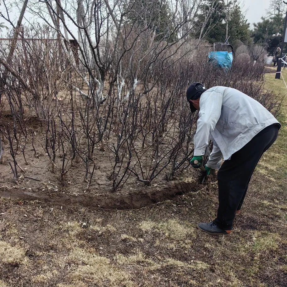 清明時節，沈陽墓園以心守候 | 記龍生墓地的春日長情