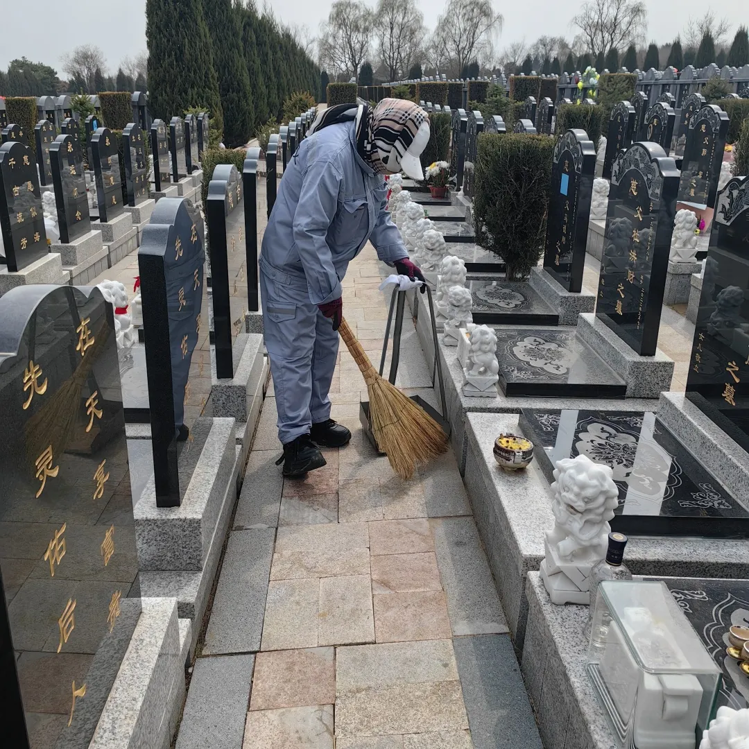 清明時節，沈陽墓園以心守候 | 記龍生墓地的春日長情