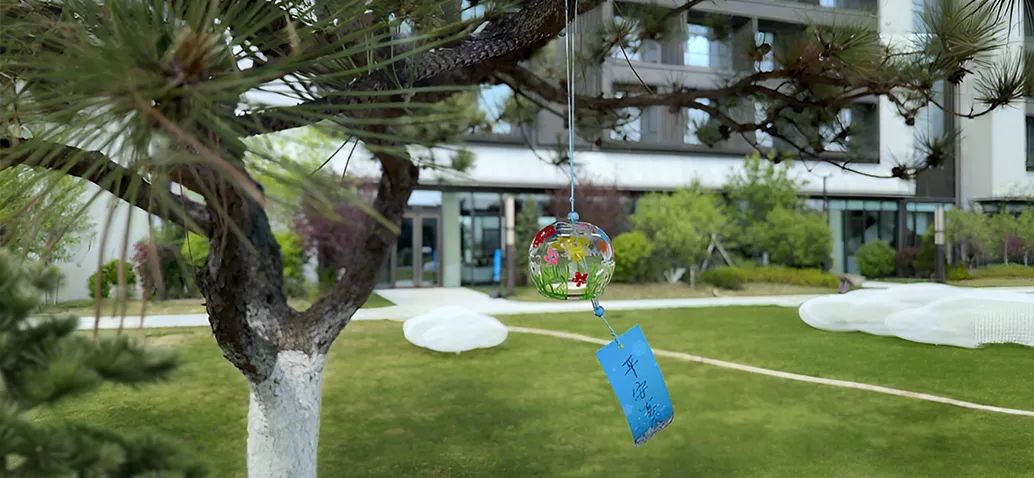 【一日“光影”，情滿龍生】 ——沈陽公墓2025母親節活動溫暖回顧