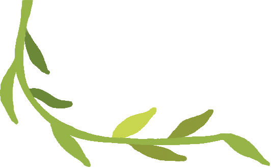 【一日“光影”，情滿龍生】 ——沈陽公墓2025母親節活動溫暖回顧