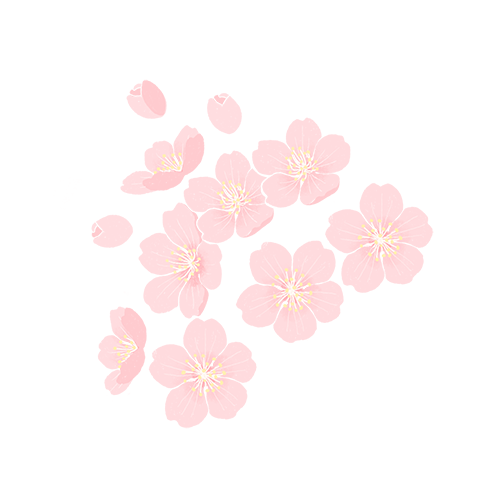 母親節代祭服務，沈陽龍生墓園以專業守護每一份牽掛