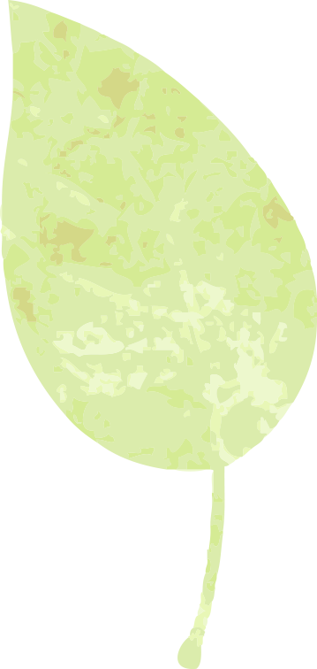 【一日“光影”，情滿龍生】 ——沈陽公墓2025母親節活動溫暖回顧