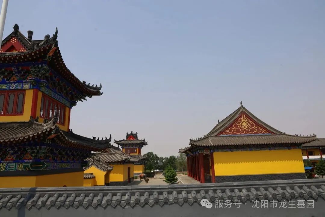 沈陽龍生墓園公益一日游 | 收獲歡樂與感悟